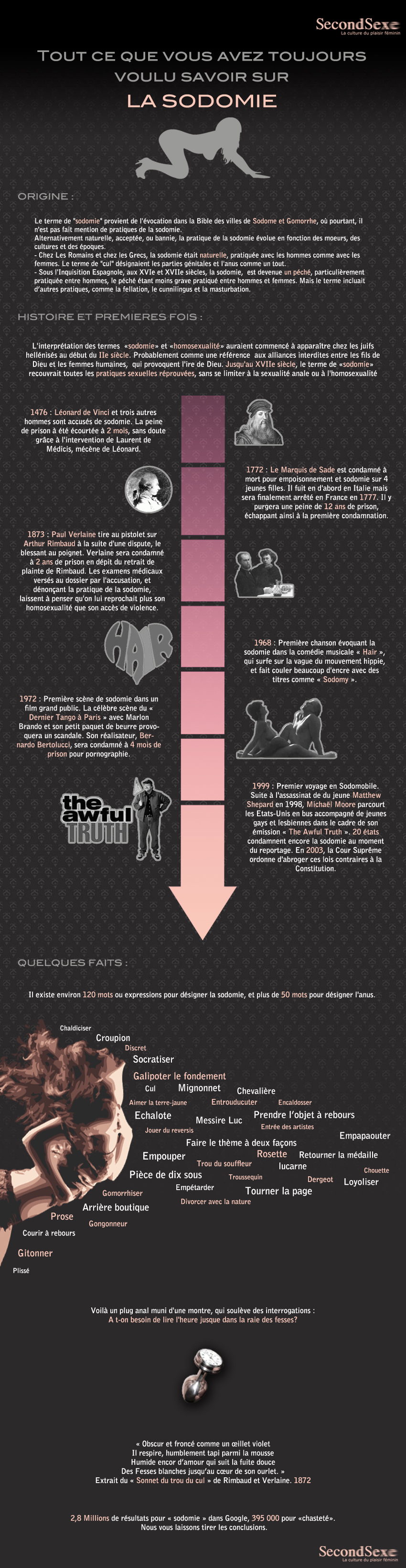 Infographie : La sodomie
